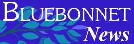 Bluebonnet banner